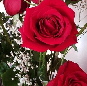 Meet your Posher, Lorie